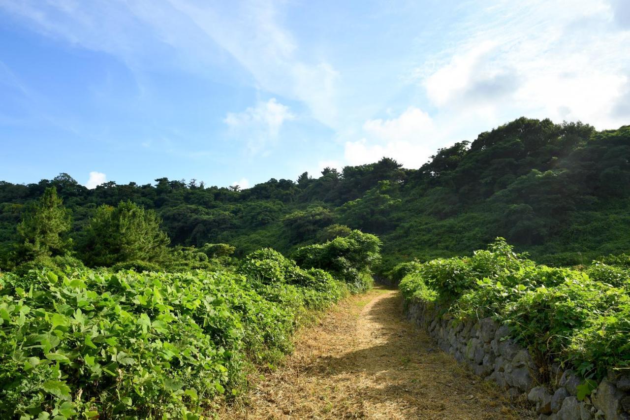 Hidden Cliff Hotel And Nature Seogwipo Eksteriør bilde